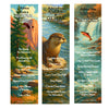 PKG:AMBM-NATPKWTR_Amazon Bookmark 3 Pack - Water National Parks